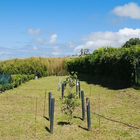 Moradia Entre Saltos *